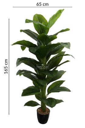 Yapay Ağaç Yoğun Yapraklı Premium Difenbahya 165 cm Yeşil (34 Yapraklı) - 5