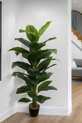 Yapay Ağaç Yoğun Yapraklı Premium Difenbahya 165 cm Koyu Yeşil (34 Yapraklı) - Yapay Çiçek Deposu