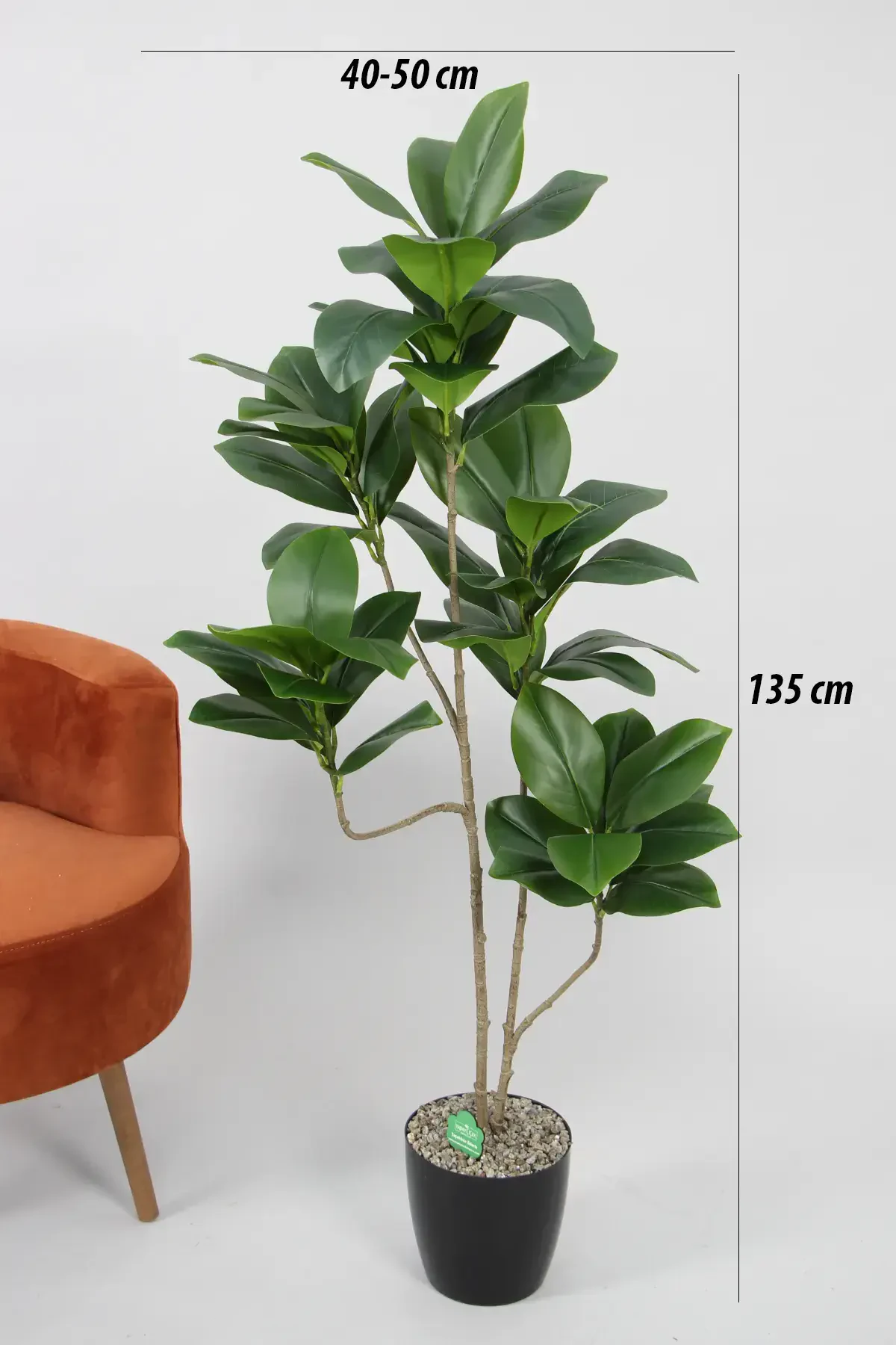 Yapay Ağac Kauçuk 5 Gövdeli 135 cm - 2