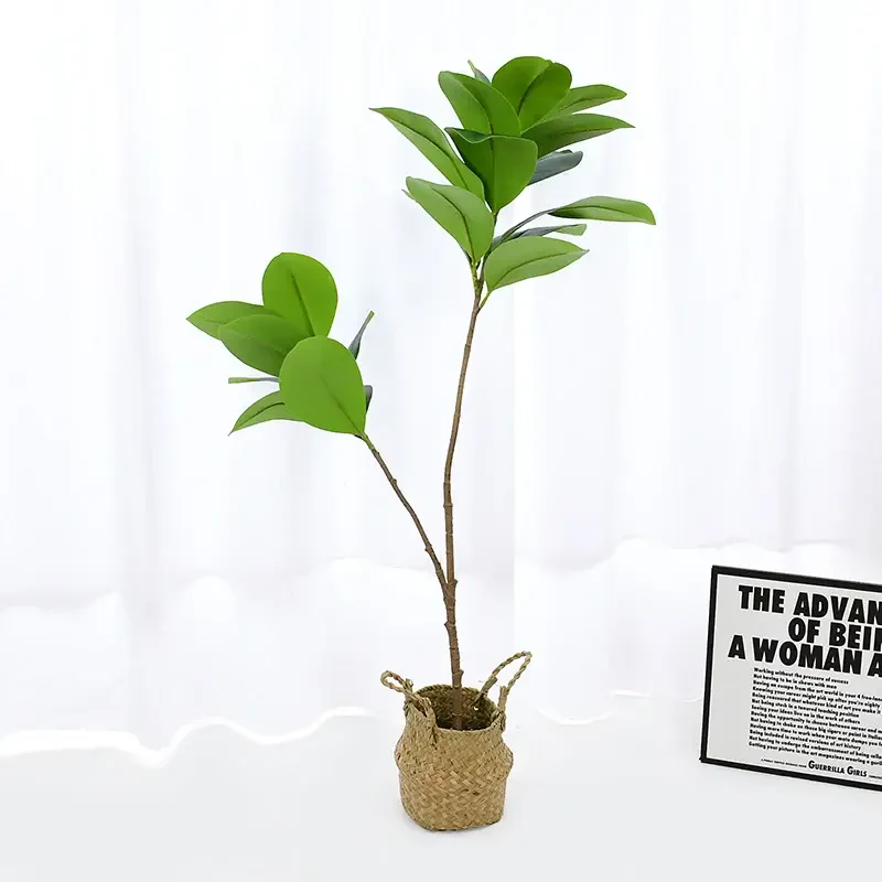 Yapay Ağac Kauçuk Bitkisi 2 Dallı 105 cm (Saksısız) - 4