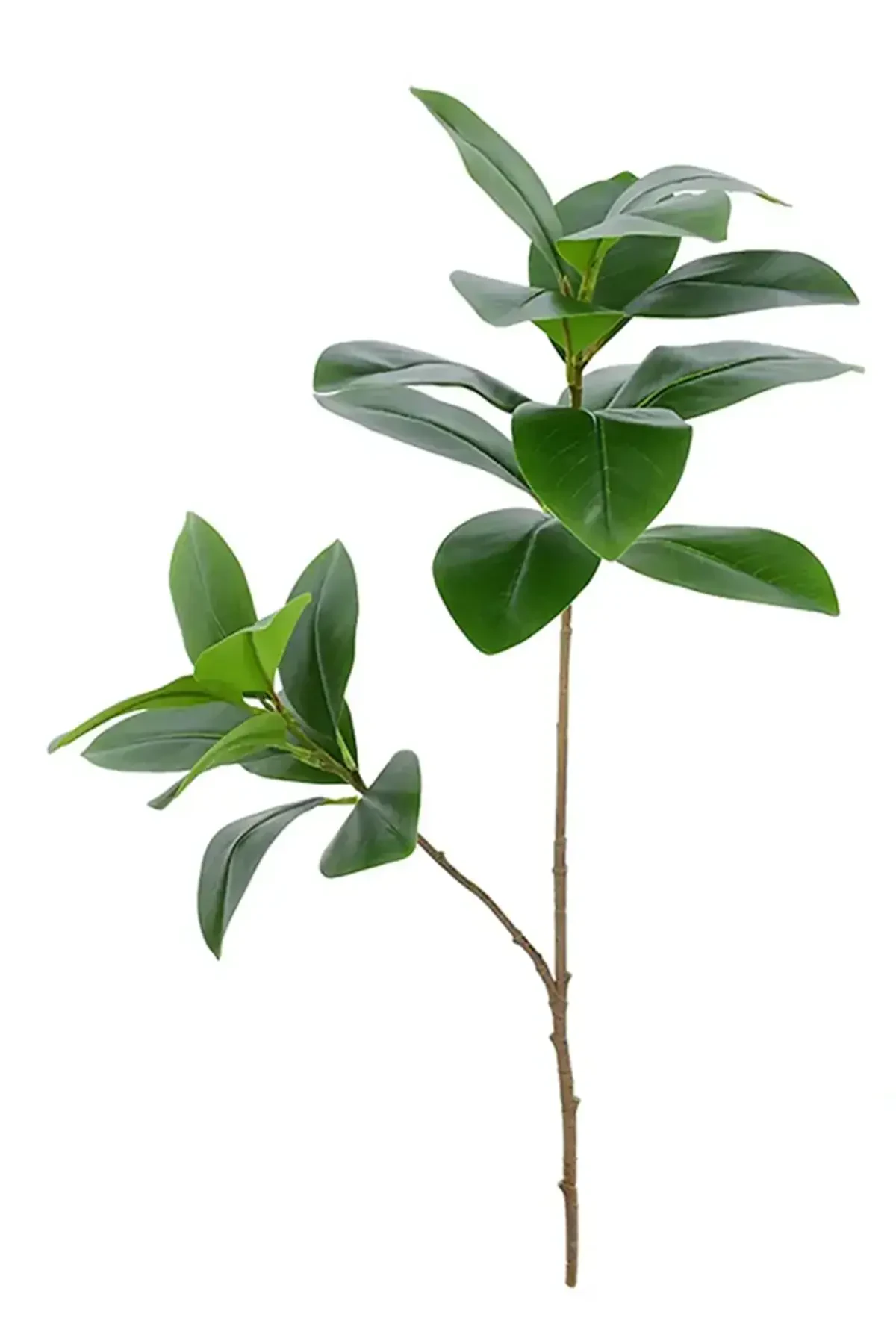 Yapay Ağac Kauçuk Bitkisi 2 Dallı 105 cm (Saksısız) - 1