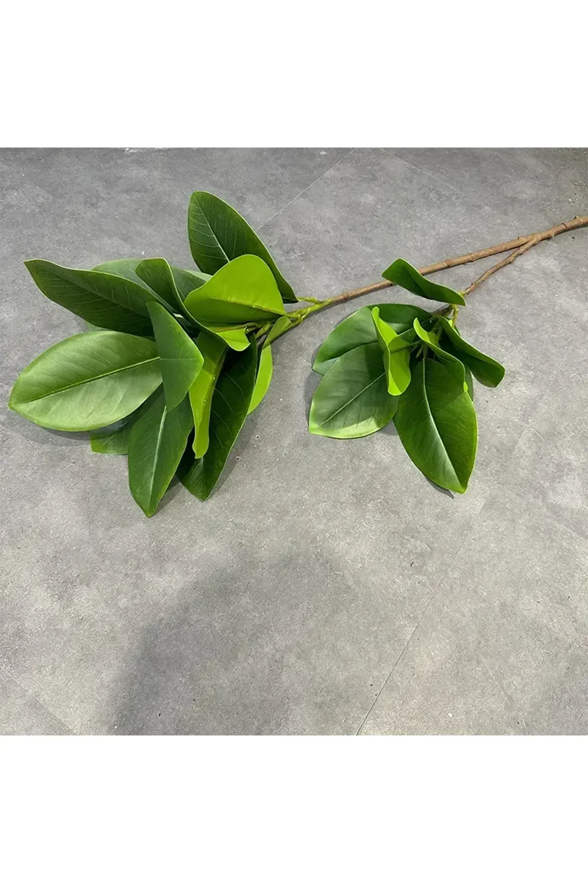 Yapay Ağac Kauçuk Bitkisi 2 Dallı 105 cm (Saksısız) - 5
