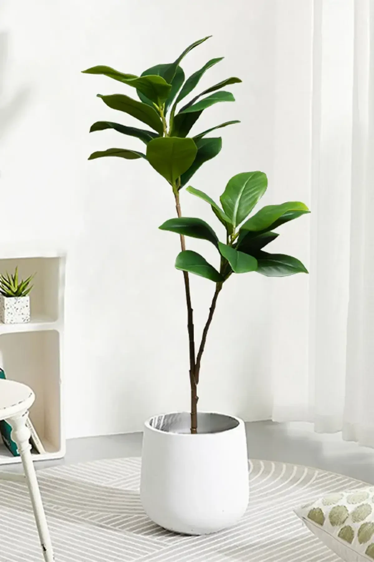 Yapay Ağac Kauçuk Bitkisi 2 Dallı 105 cm (Saksısız) - 2