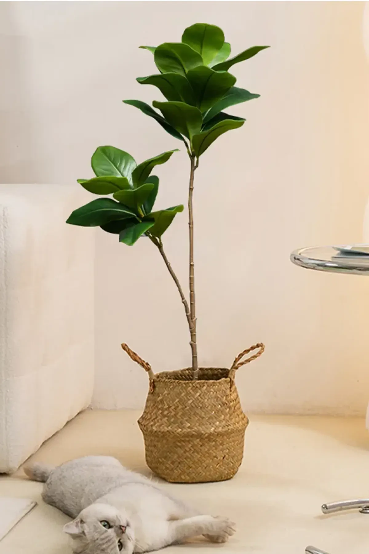 Yapay Ağac Kauçuk Bitkisi 2 Dallı 105 cm (Saksısız) - 10