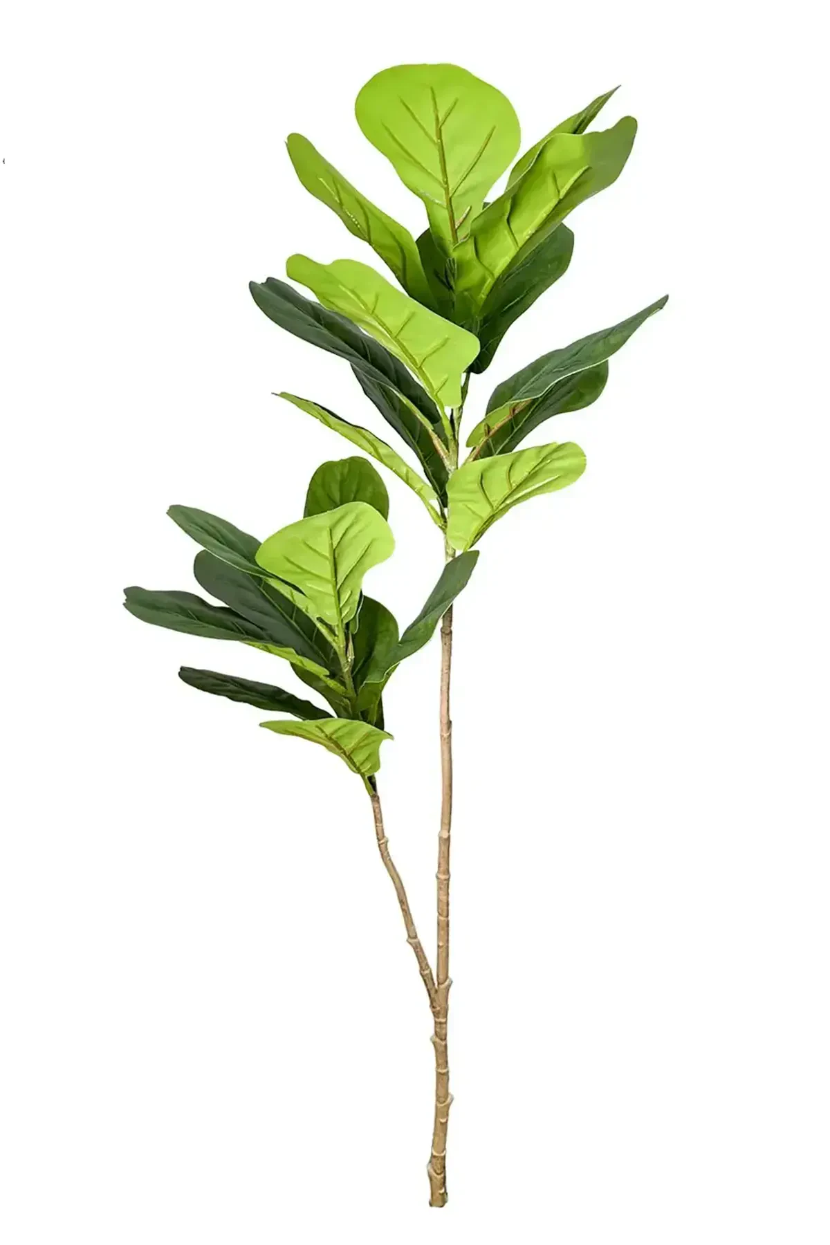 Yapay Ağac Keman Bitkisi 2 Dallı 105 cm (Saksısız) - 1