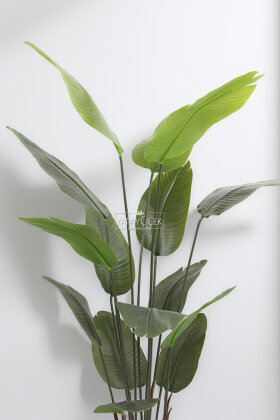 Yapay Ağaç Küre Saksıda 15 Yapraklı Starliçe Ağacı 170 cm - 3