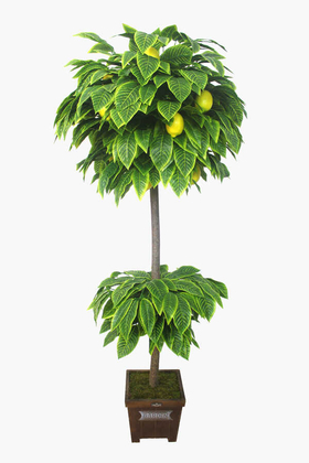 Yapay Ağaç Limon Ağacı 180 cm - Yapay Çiçek Deposu