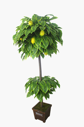 Yapay Ağaç Limon Ağacı 180 cm - 2