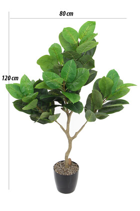 Yapay Ağac Lüx Kauçuk 120 cm - 2