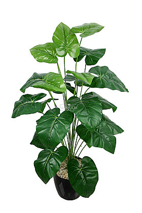 Yapay Ağaç Mini 24 Yapraklı Fil Kulağı 105 cm Yeşil - 2