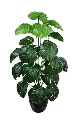 Yapay Ağaç Mini 24 Yapraklı Monstera Deve Tabanı 105 cm Yeşil - 2