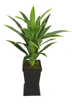 Saksılı Yapay Ağaç Premium Drecina Ağacı 130cm Dracaena Plant (Yeşil-Sarı) - 1