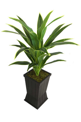 Saksılı Yapay Ağaç Premium Drecina Ağacı 130cm Dracaena Plant (Yeşil-Sarı) - 3