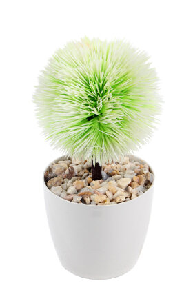 Yapay Ağaç Plastik Saksıda Mini Top Kirpi 25 cm Degrade Yeşil - 2