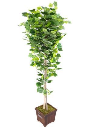 Yapay Ağaç Yeşil Yapraklı Çınar Ağacı 190 cm - 1