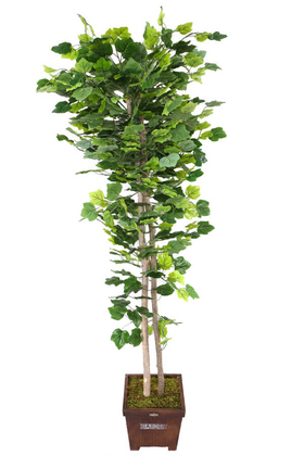 Yapay Ağaç Yeşil Yapraklı Çınar Ağacı 190 cm - 2