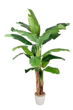 Yapay Ağaç Muz Gerçek Format 3 Gövde 190 cm - Yapay Çiçek Deposu