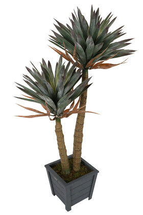 Yapay Agave Sabır Ağacı 155 cm - 1