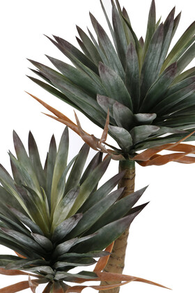 Yapay Agave Sabır Ağacı 155 cm - 3