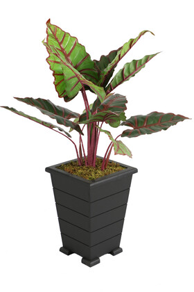 Yapay Alocasia Bitkisi Ahşap Konik Saksıda 85 cm Yeşil-Kızıl - 2