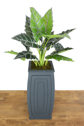 Yapay Alocasia Bitkisi Ahşap Saksıda 120 cm Yeşil-Gri - 1
