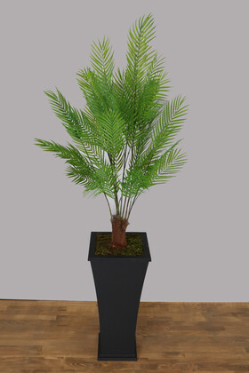 Yapay Areka Ağacı 180 cm 40 Dallı Jumbo Boy - 2