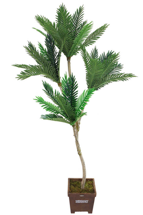 Yapay Areka Agacı 4 Gövdeli 180cm - 1