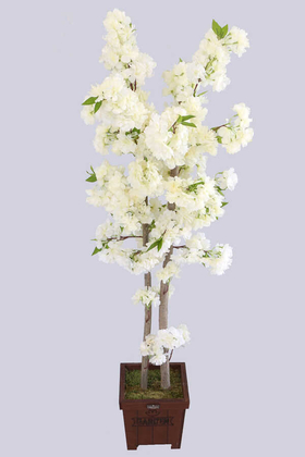Yapay Bahar Dalı Ağacı 2 Gövdeli Beyaz 130 cm - 2