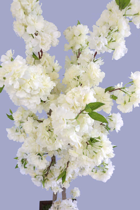 Yapay Bahar Dalı Ağacı 2 Gövdeli Beyaz 130 cm - 3