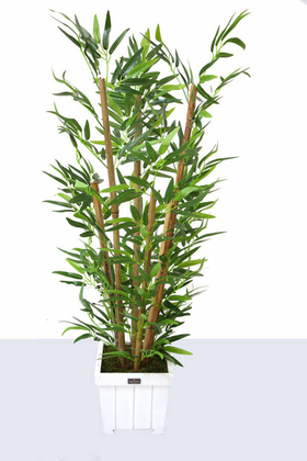 Yapay Bambu Ağacı 6 Gövde 110 cm(Beyaz Ahsap Saksı) - 1