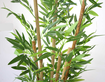 Yapay Bambu Ağacı 6 Gövde 110 cm(Beyaz Ahsap Saksı) - 2