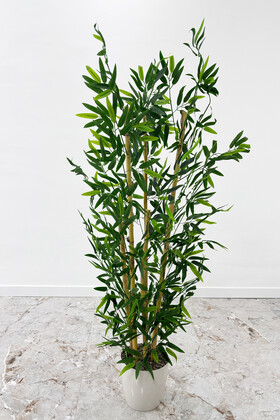 Yapay Bambu Ağacı 6 Gövde 140 cm(Beyaz Saksılı) - 1