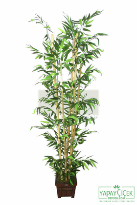 Yapay Bambu Ağacı 6 Gövde 180 cm Model4 - 2