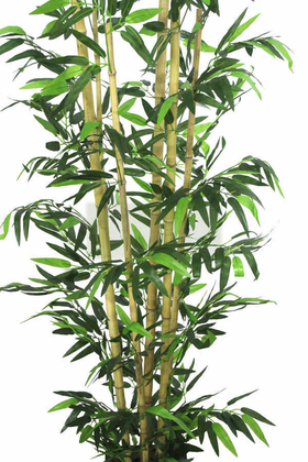 Yapay Bambu Ağacı 6 Gövde 180 cm Model4 - 4