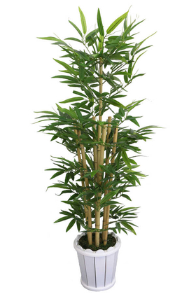 Yapay Bambu Ağacı 7 Gövdeli 160 cm Model 25 - 1