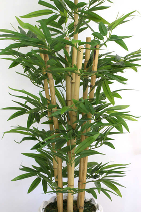 Yapay Bambu Ağacı 7 Gövdeli 160 cm Model 25 - 2