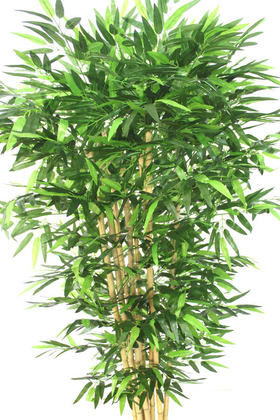 Yapay Bambu Ağacı 8 Gövde 190 cm - 3