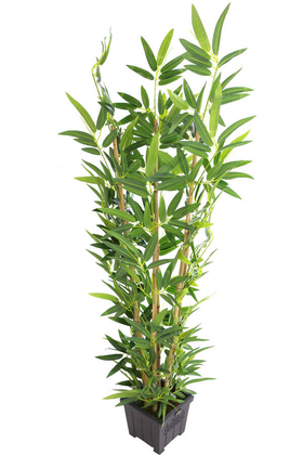 Yapay Bambu Ağacı Premium Kalite 170cm 6 Gövdeli Ahşap Saksılı Antrasit Mavi - 2