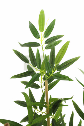 Yapay Bambu Ağacı Premium Kalite 170cm 6 Gövdeli - 3
