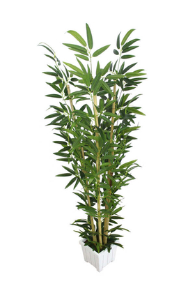 Yapay Bambu Ağacı Premium Kalite 170cm 6 Gövdeli Beyaz Saksılı - 1