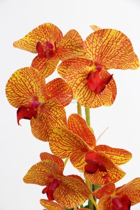 Saksıda Yapay Baskılı Islak Orkide 50 cm Turuncu Çizgili - 3