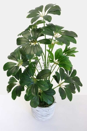 Yapay Beton Saksıda18 Dallı Lüx Şeflera Bitki 70cm (Schefflera) Koyu Yeşil - 1