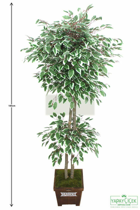 Yapay Benjamin Ağacı Yeşil-Beyaz 180 cm - 1