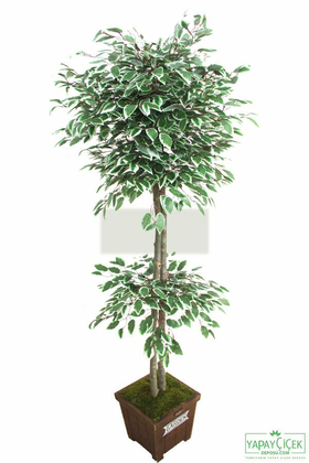 Yapay Benjamin Ağacı Yeşil-Beyaz 180 cm - 2