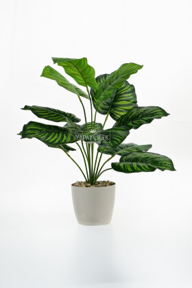 Yapay Bitki 12 Yapraklı Calypso 47 cm Yeşil - 2
