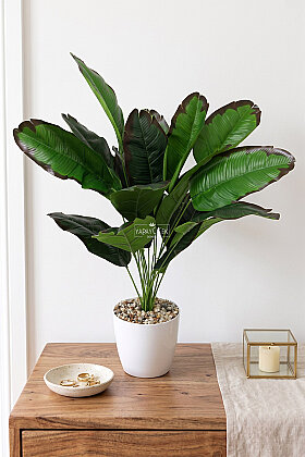 Yapay Bitki 18 Yapraklı Saksıda Musa Botanica 70 cm Yeşil-Kahve - Yapay Çiçek Deposu
