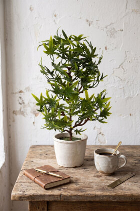 Yapay Bitki 3 Dallı Premium Aralia Demeti 35 cm Koyu Yeşil - 2