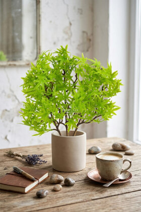 Yapay Bitki 3 Dallı Premium Aralia Demeti 35 cm Yeşil - Yapay Çiçek Deposu
