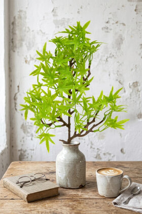 Yapay Bitki 3 Dallı Premium Aralia Demeti 35 cm Yeşil - 2
