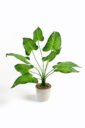 Beyaz Saksıda Yapay Bitki 9 Yapraklı Sira 40 cm Yeşil - 3